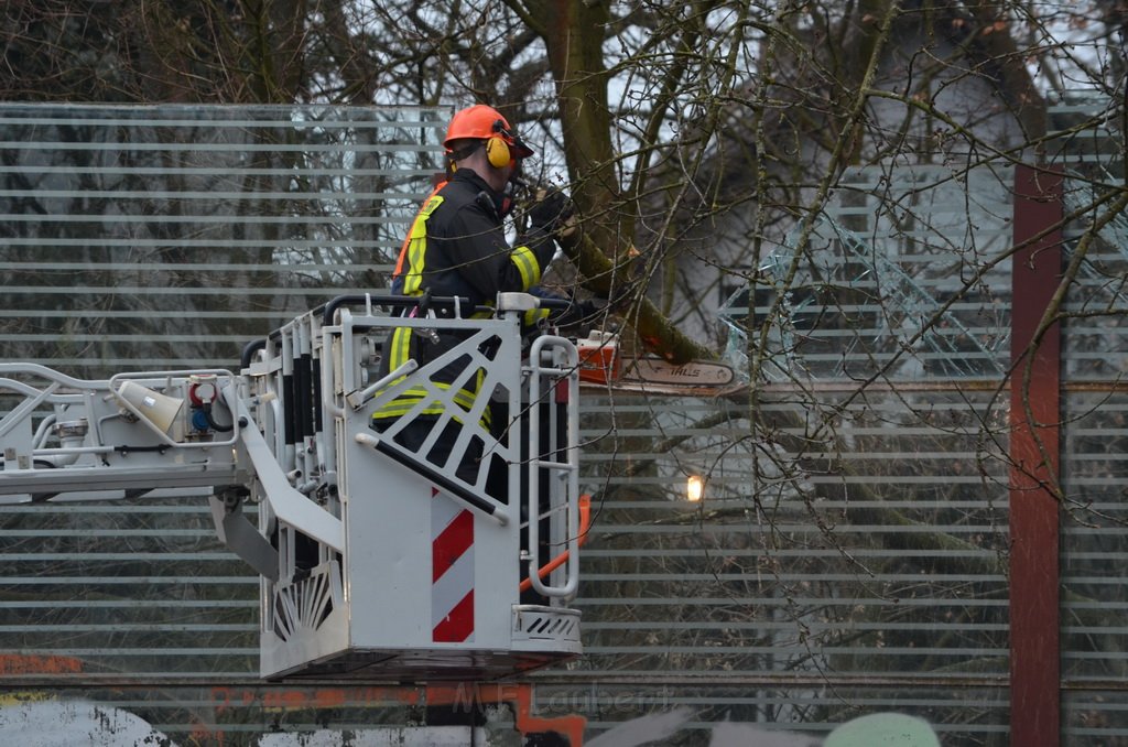 Einsatz BF Baum Koeln Vingst Vingster Ring P17.JPG - Miklos Laubert